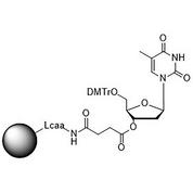 5'-DMT-T-Suc CPG Column