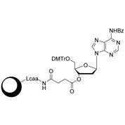 dA (Bz) CPG Column