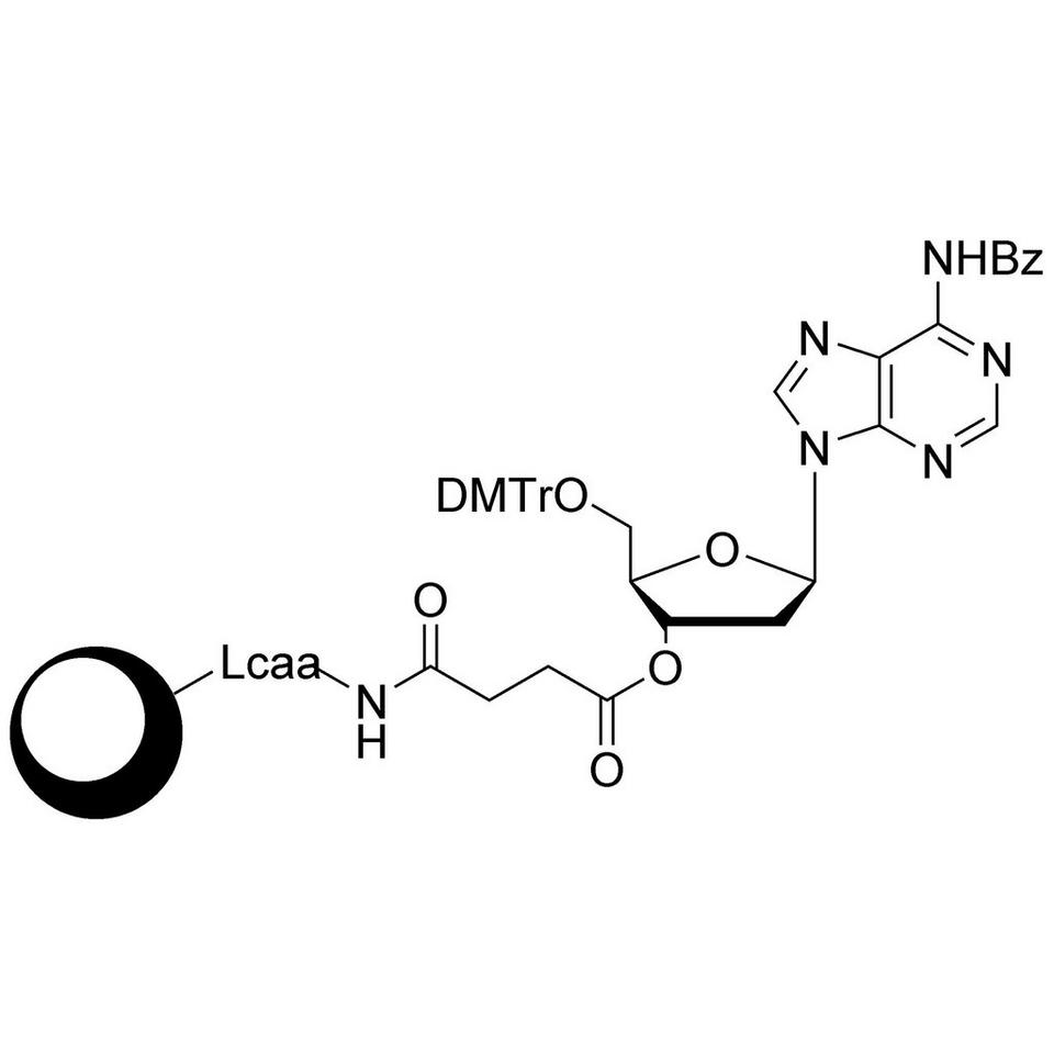 dA (Bz) CPG Column