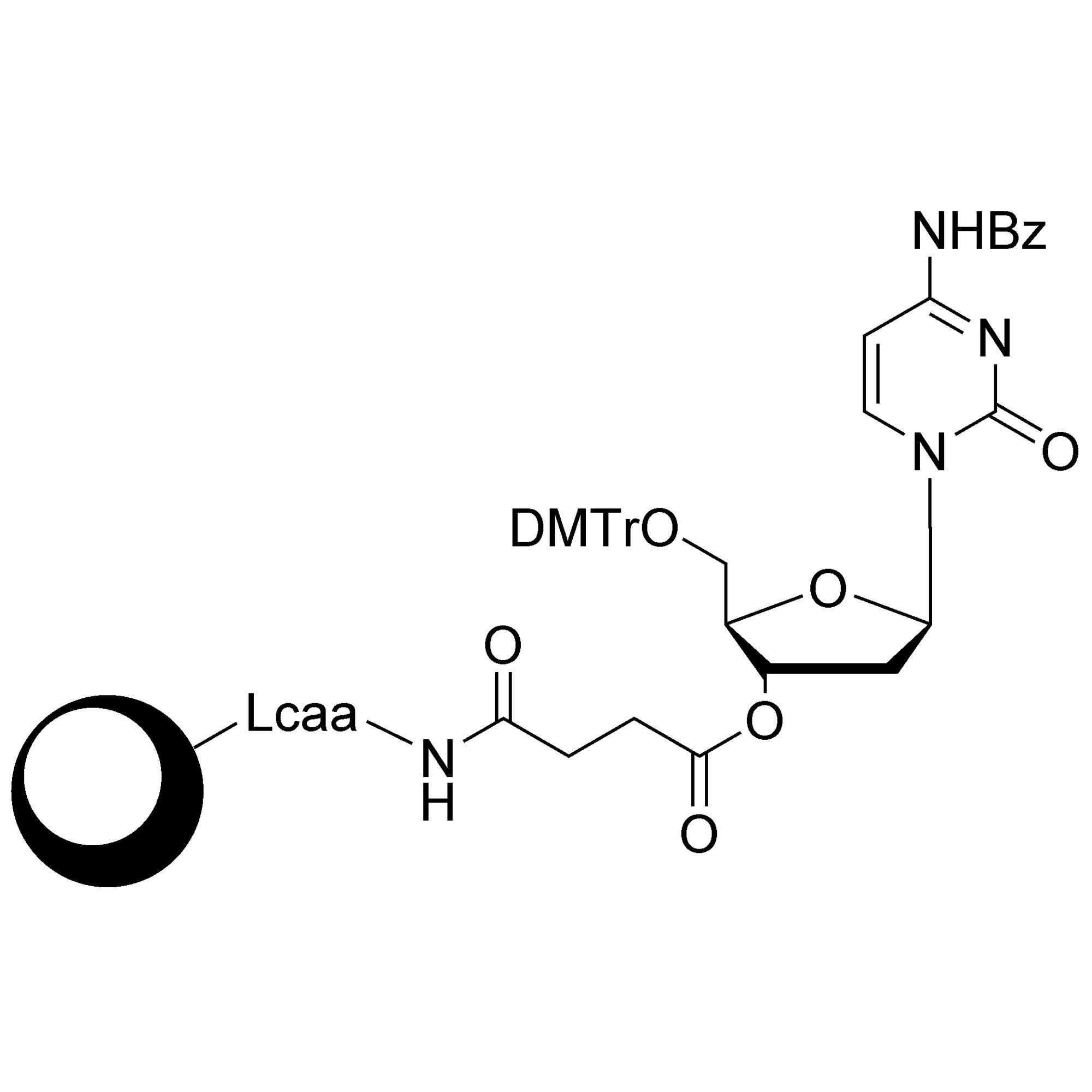 dC (Bz) CPG Column