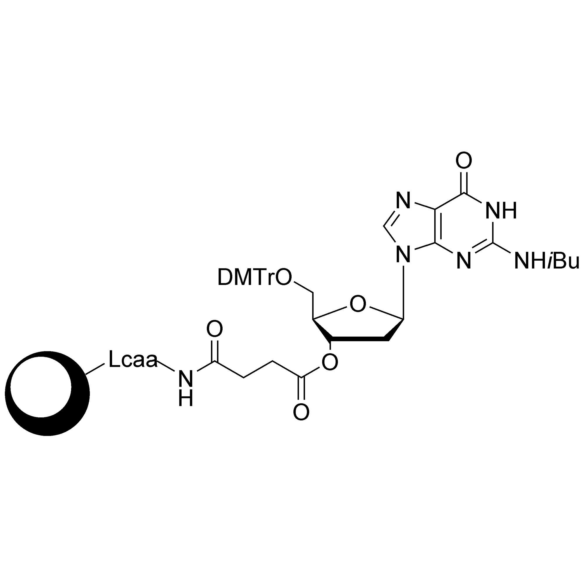 dG (iBu) CPG Column