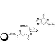 dG (iBu) CPG Column