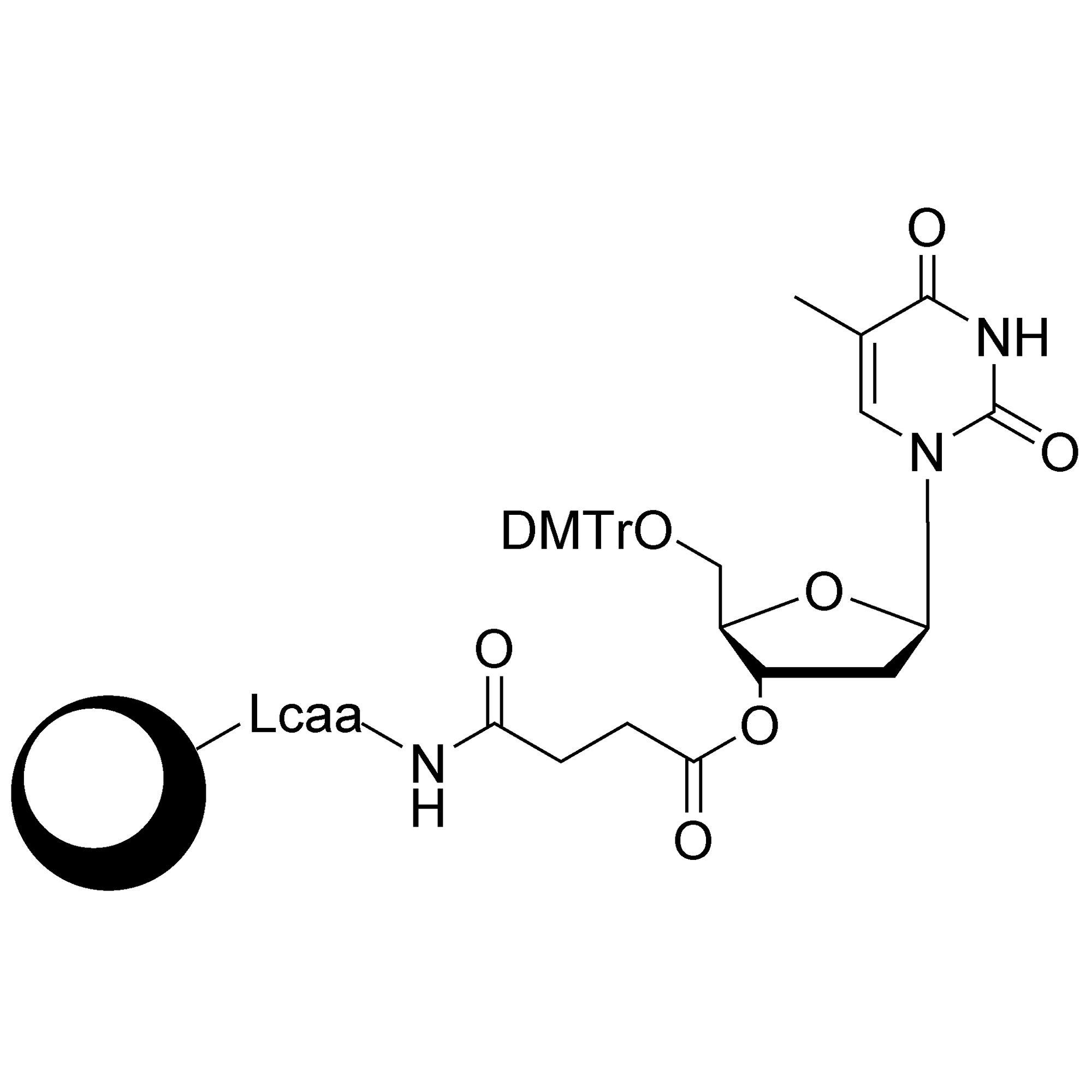 dT CPG Column
