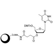dT CPG Column