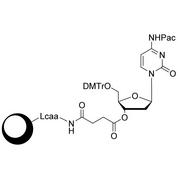 dA (Pac) CPG Column