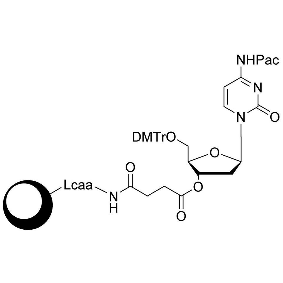 dA (Pac) CPG Column