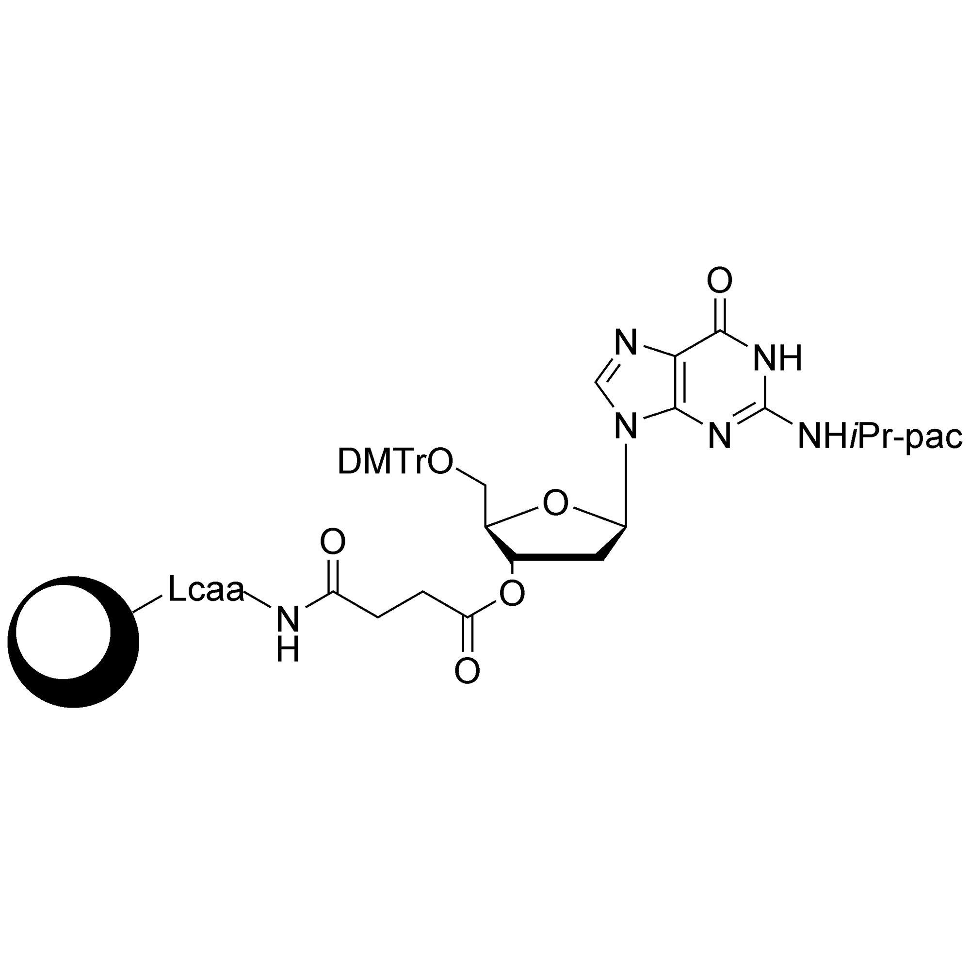 dG (iPr-Pac) CPG Column