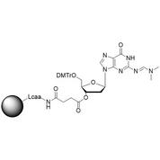 dG (dmf) CPG Column