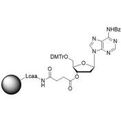 dA (Bz) CNA CPG Column