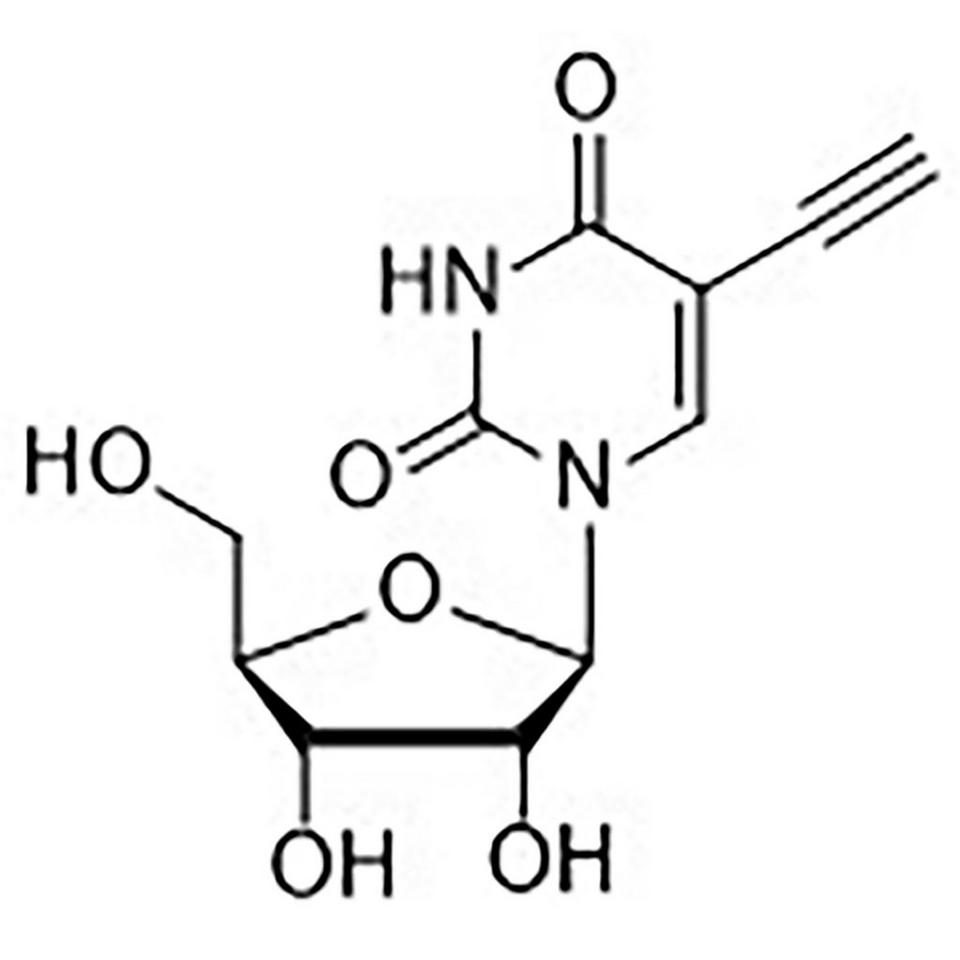 5-Ethynyl Uridine, 100 mg, Glass Screw-Top