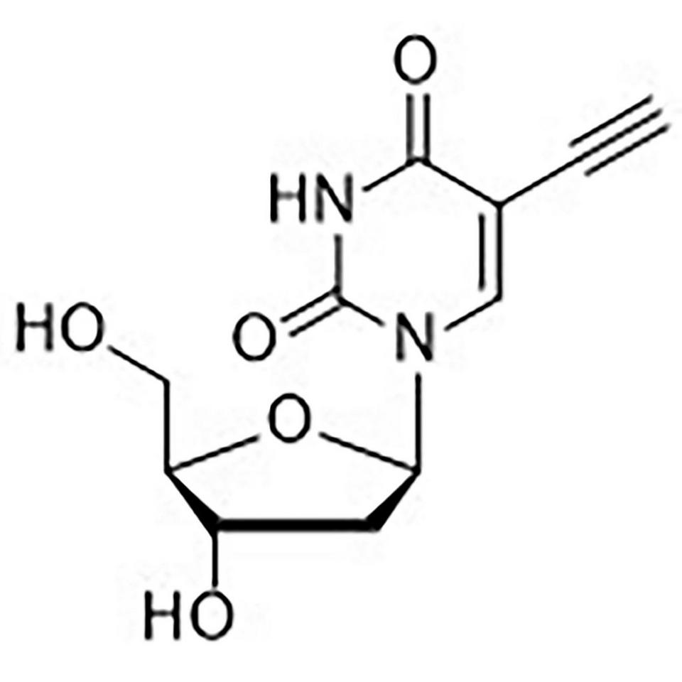 5-Ethynyl-2'-deoxyuridine, 100 mg, Glass Screw-Top