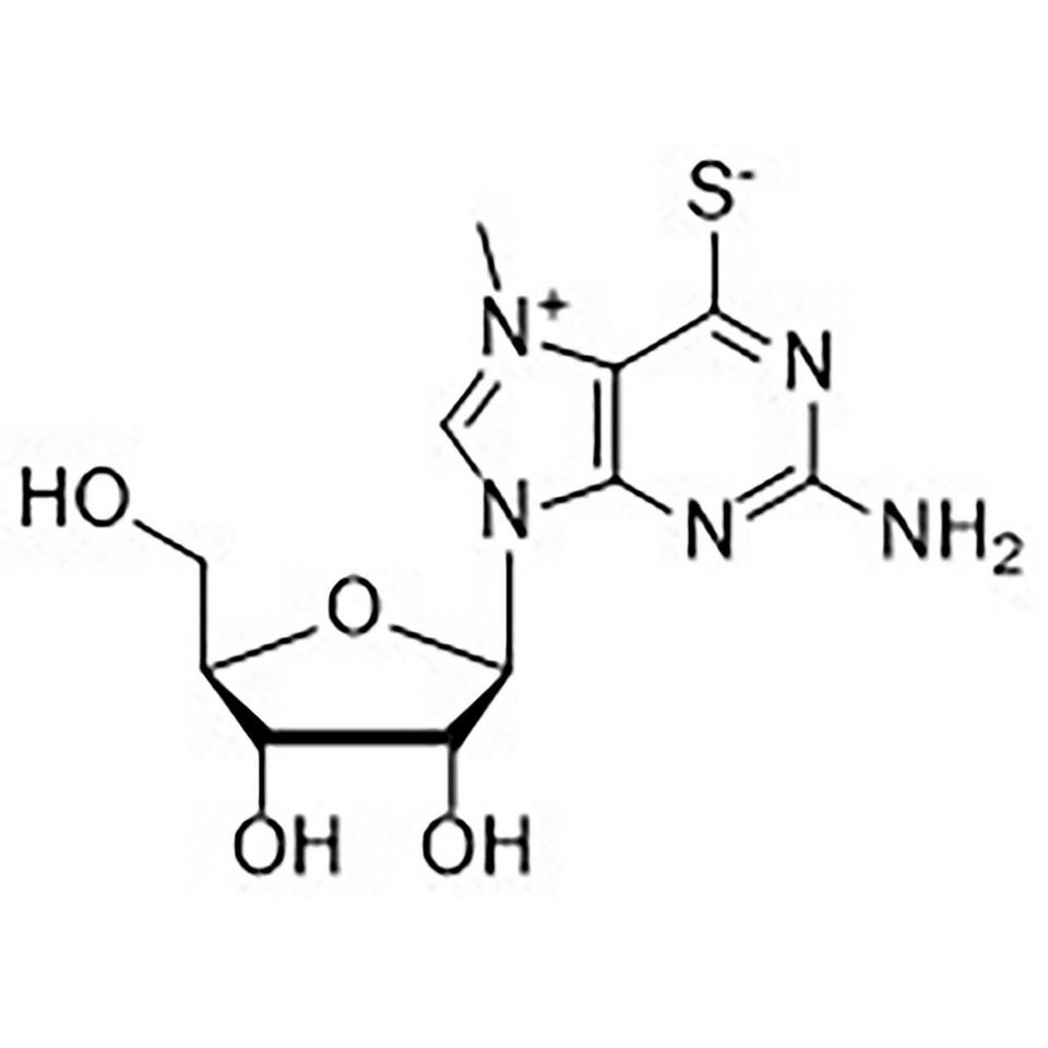 7-Methyl-6-thioguanosine (MESG), 25 mg, Glass Screw-Top