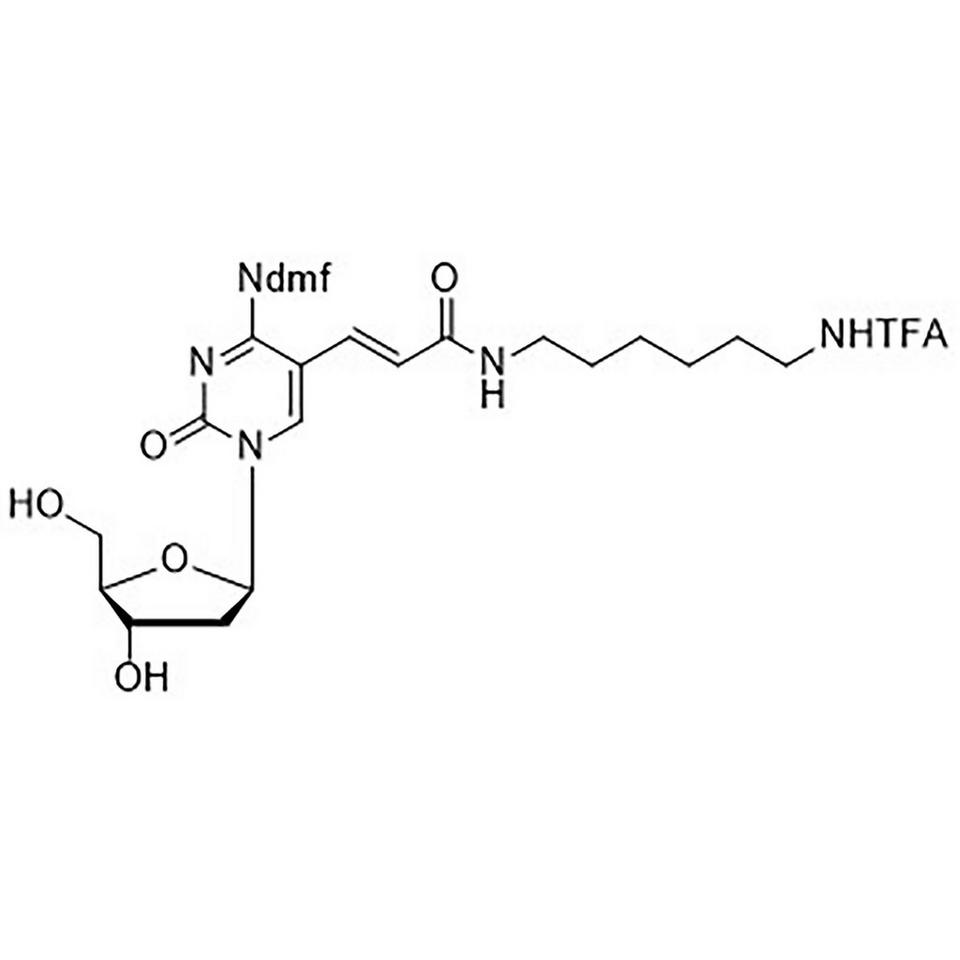 N4-[(Dimethylamino)methylidene]-5-[3-oxo-[[6-[(trifluroacetyl)amino]-hexyl]amino]-1-propenyl]-2'-deoxycytidine