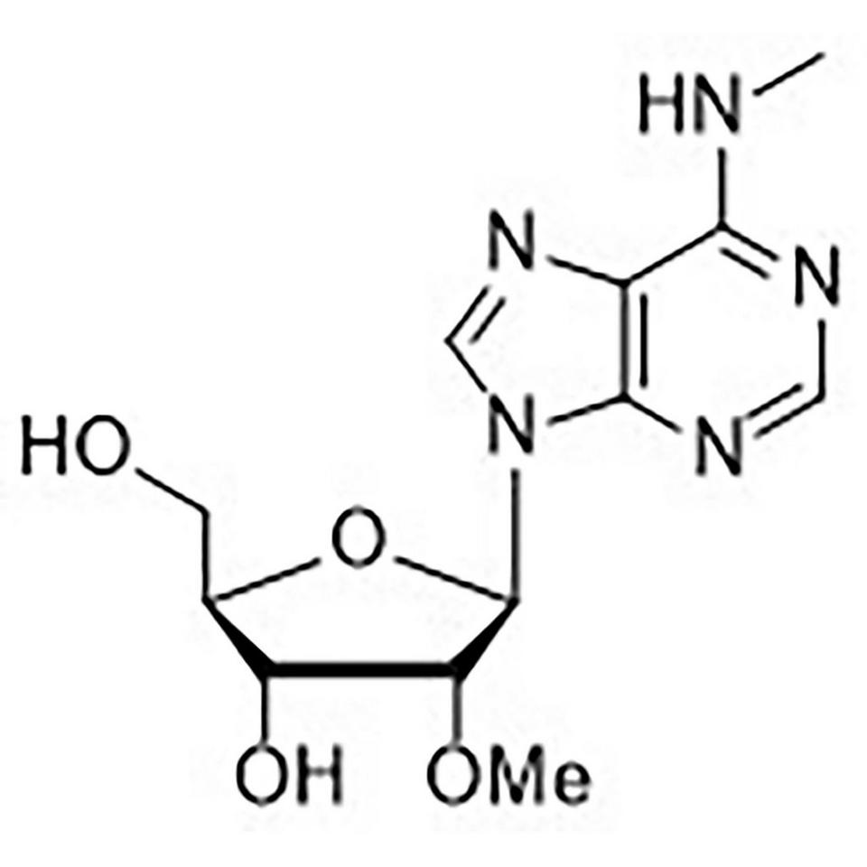 N6-Methyl-2'-O-Methyladenosine, 100 mg, Glass Screw-Top