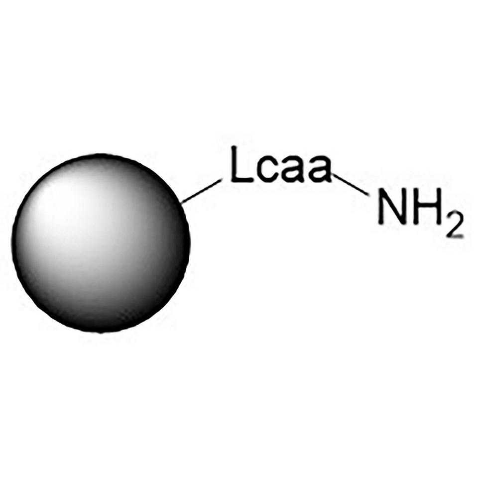 LCAA (CNA) CPG
