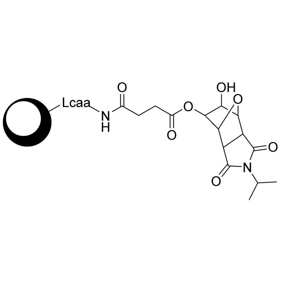 Universal Support, DMT off (N-iPr)