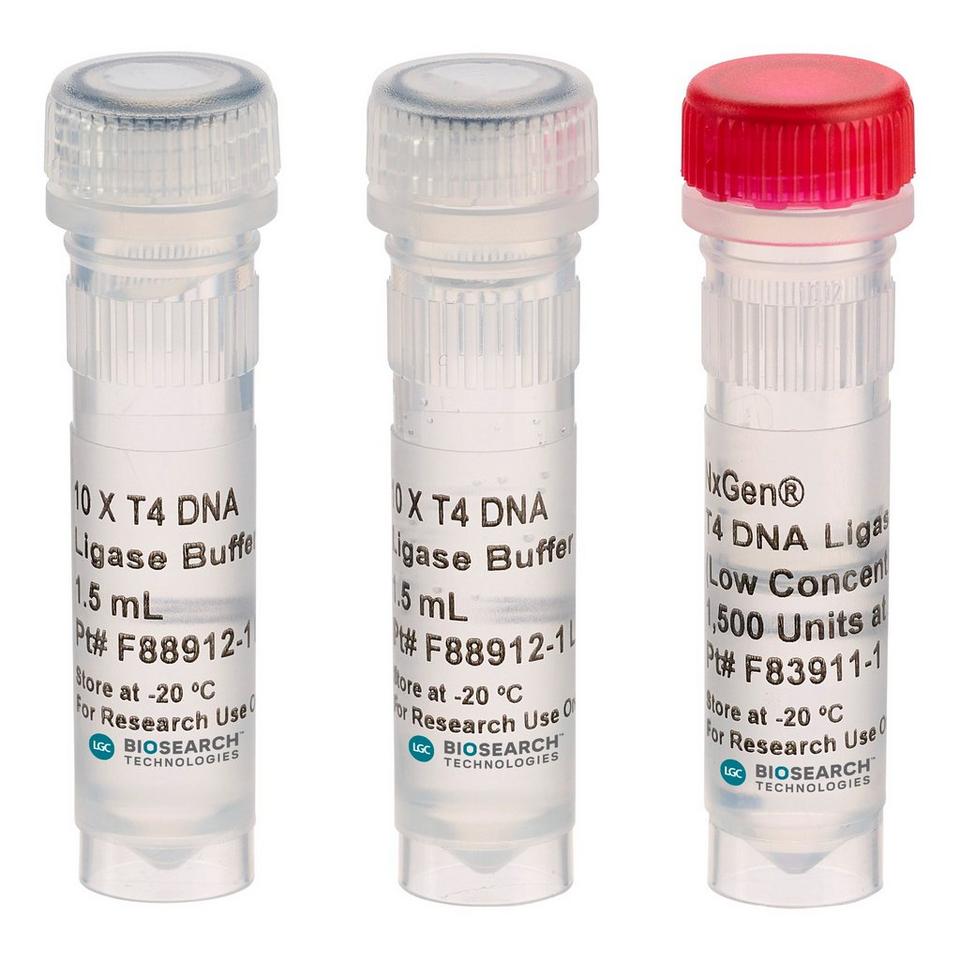 NxGen T4 DNA Ligase, 30 U/µL, 15,000 U