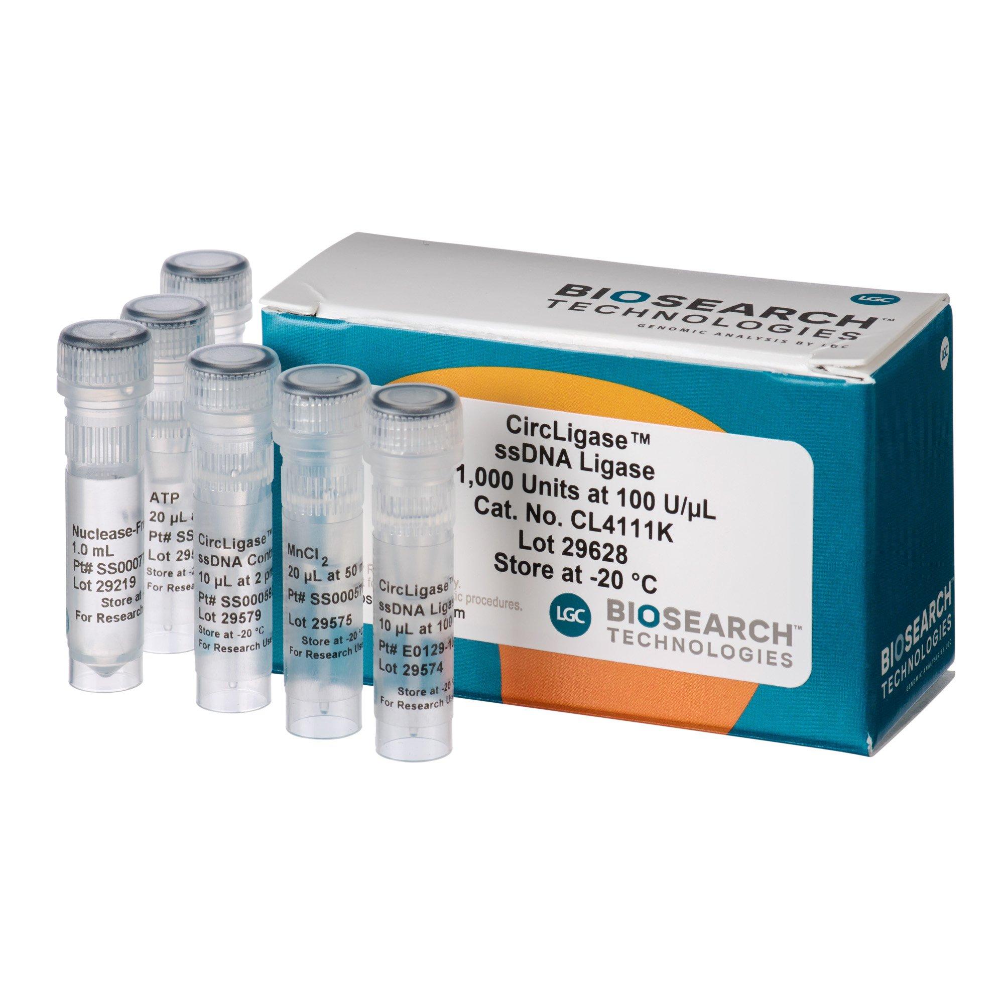 CircLigase ssDNA Ligase