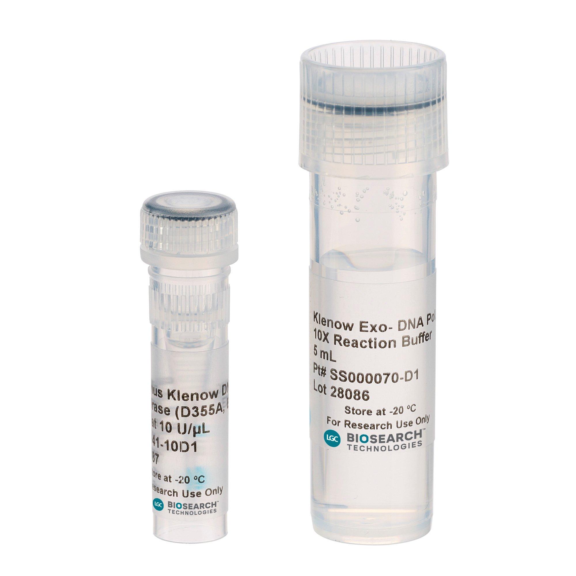 Exo-Minus Klenow DNA Polymerase (D355A, E357A)