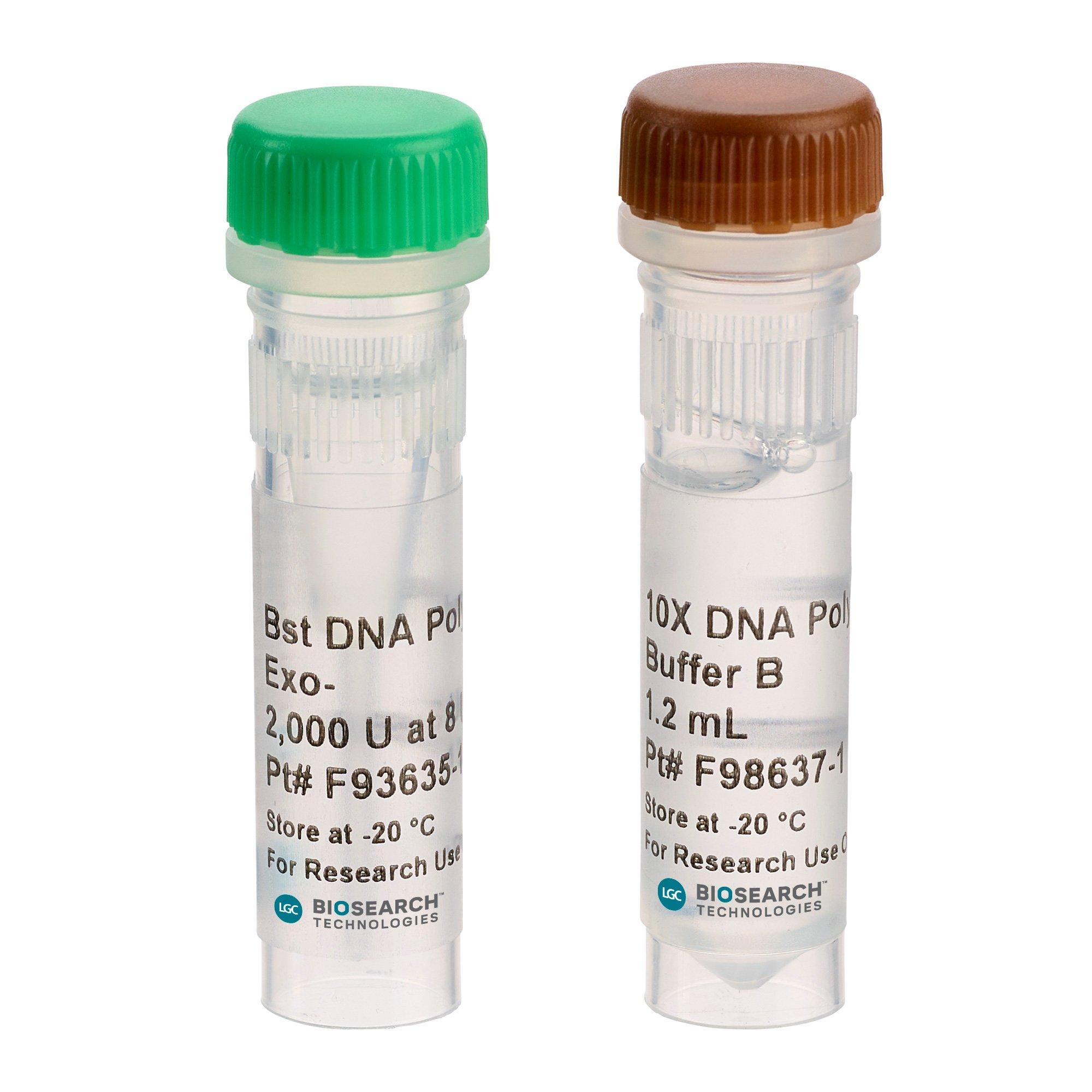 Bst DNA Polymerase, Exonuclease Minus