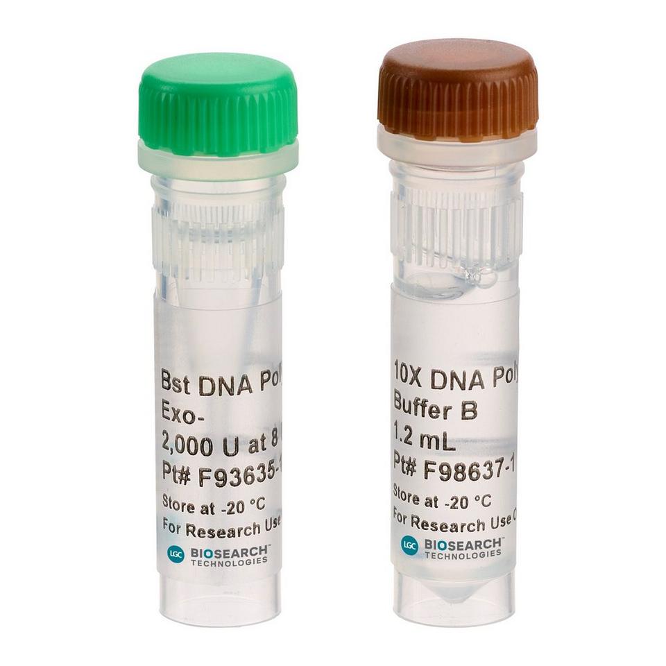 Bst DNA Polymerase, Exonuclease Minus