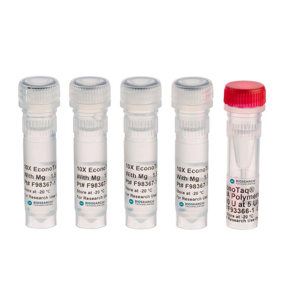 EconoTaq DNA Polymerase
