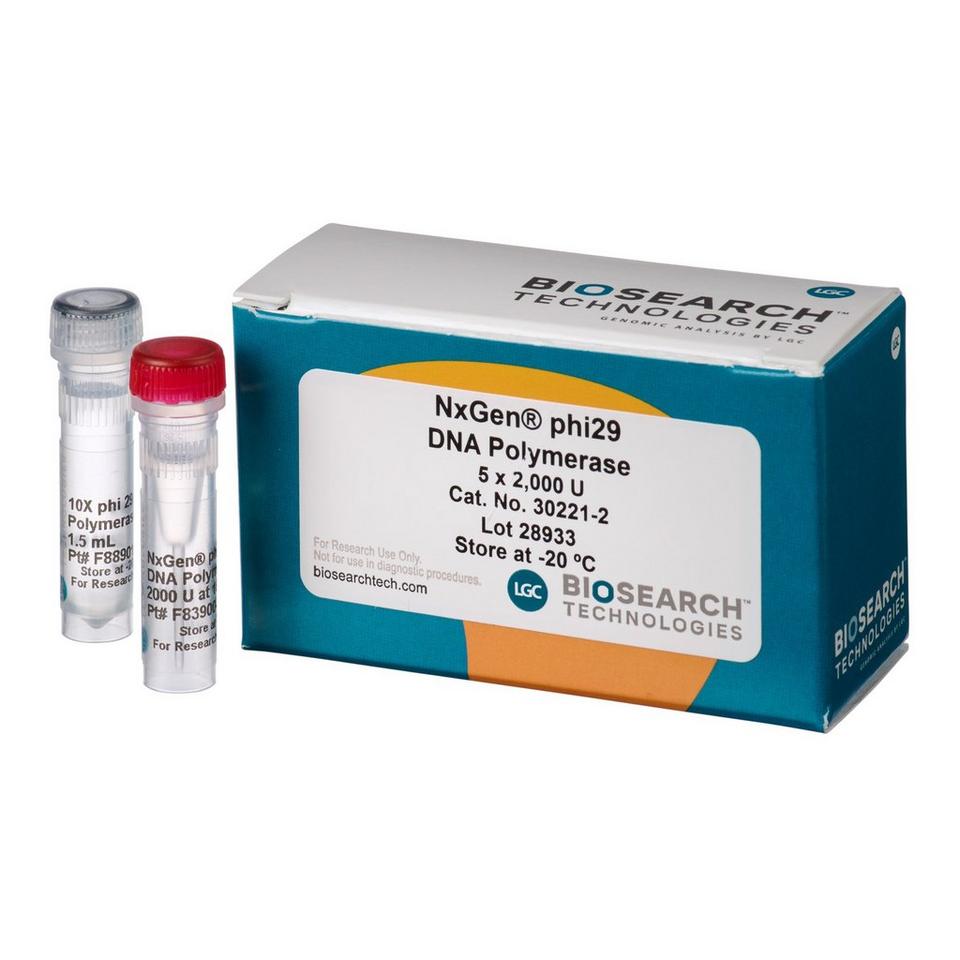 NxGen phi29 DNA Polymerase