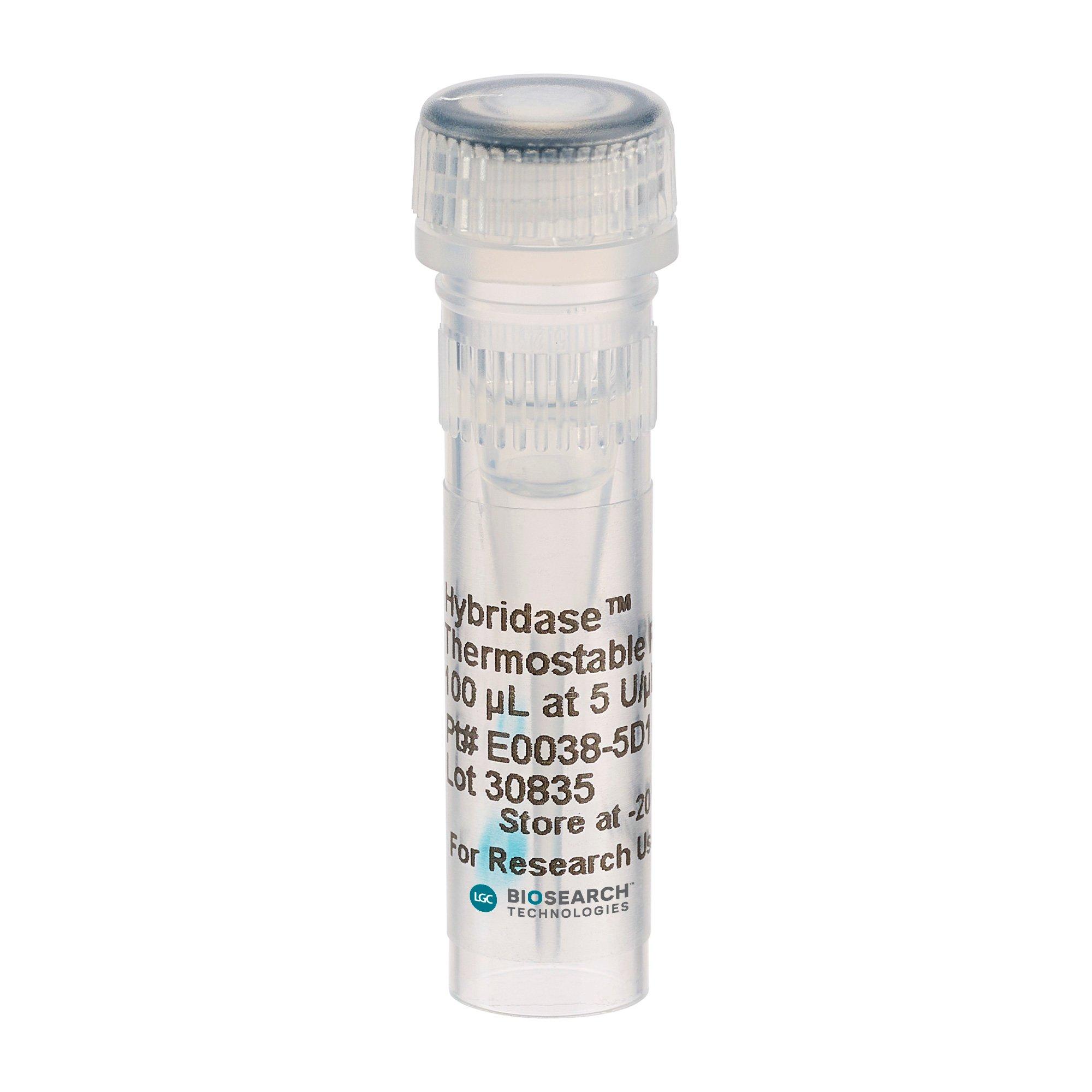 Hybridase Thermostable RNase H | LGC, Biosearch Technologies