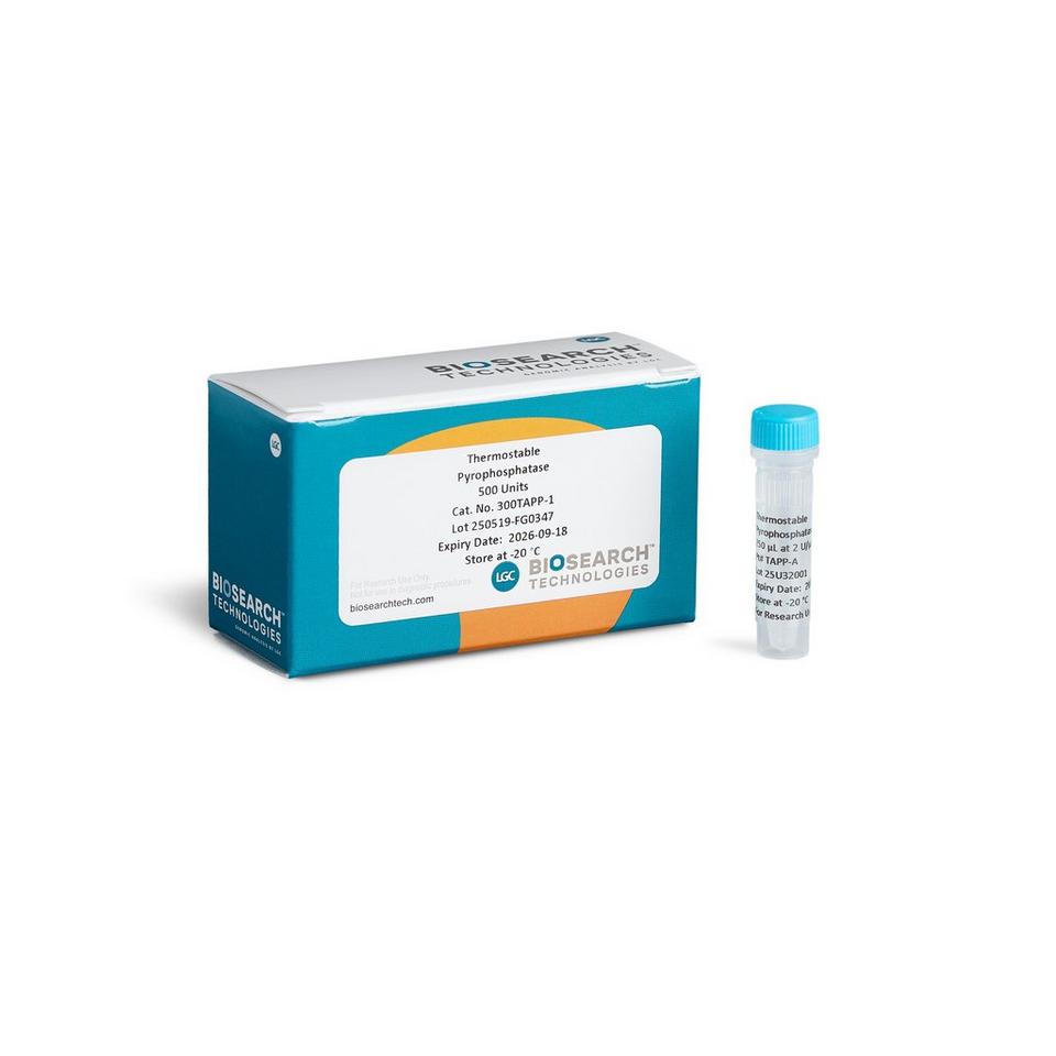 Thermostable Pyrophosphatase