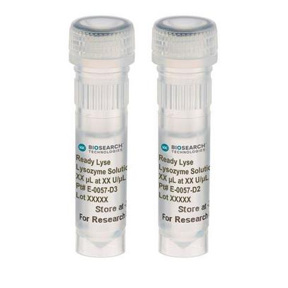 Ready-Lyse Lysozyme Solution