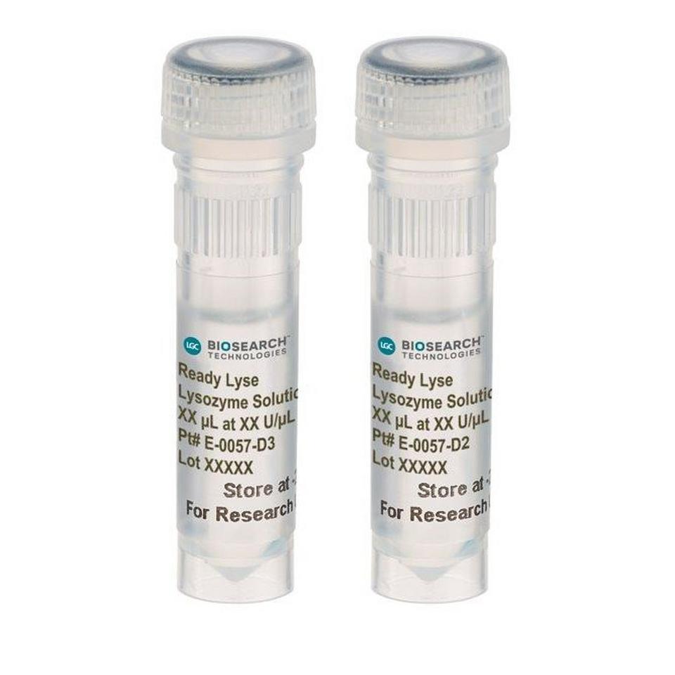 Ready-Lyse Lysozyme Solution