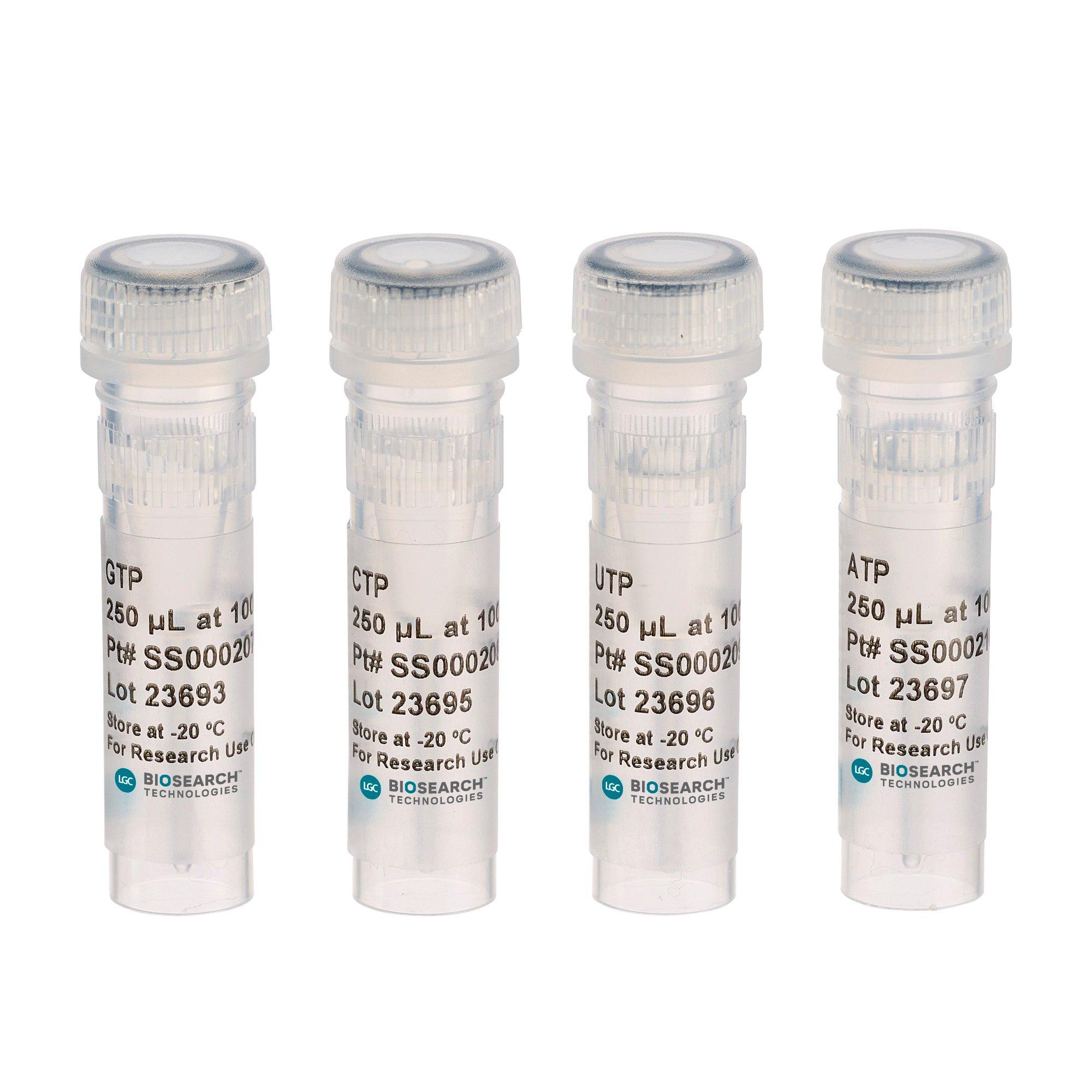 Ribonucleoside-5'-Triphosphate Solutions
