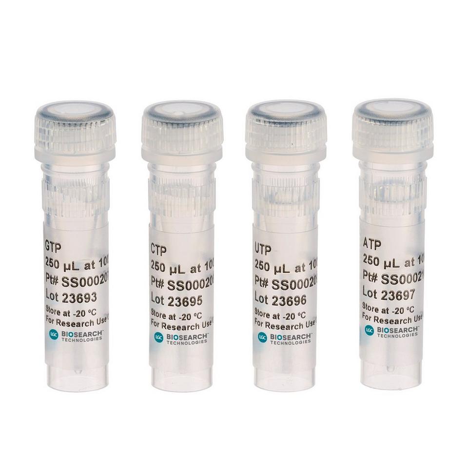 Ribonucleoside-5'-Triphosphate Solutions