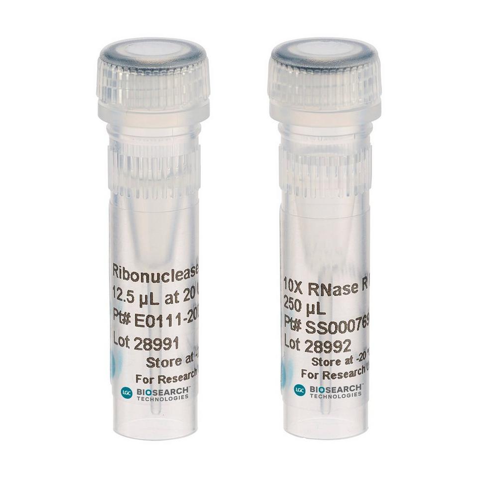 Ribonuclease R (RNase R), 250 Units