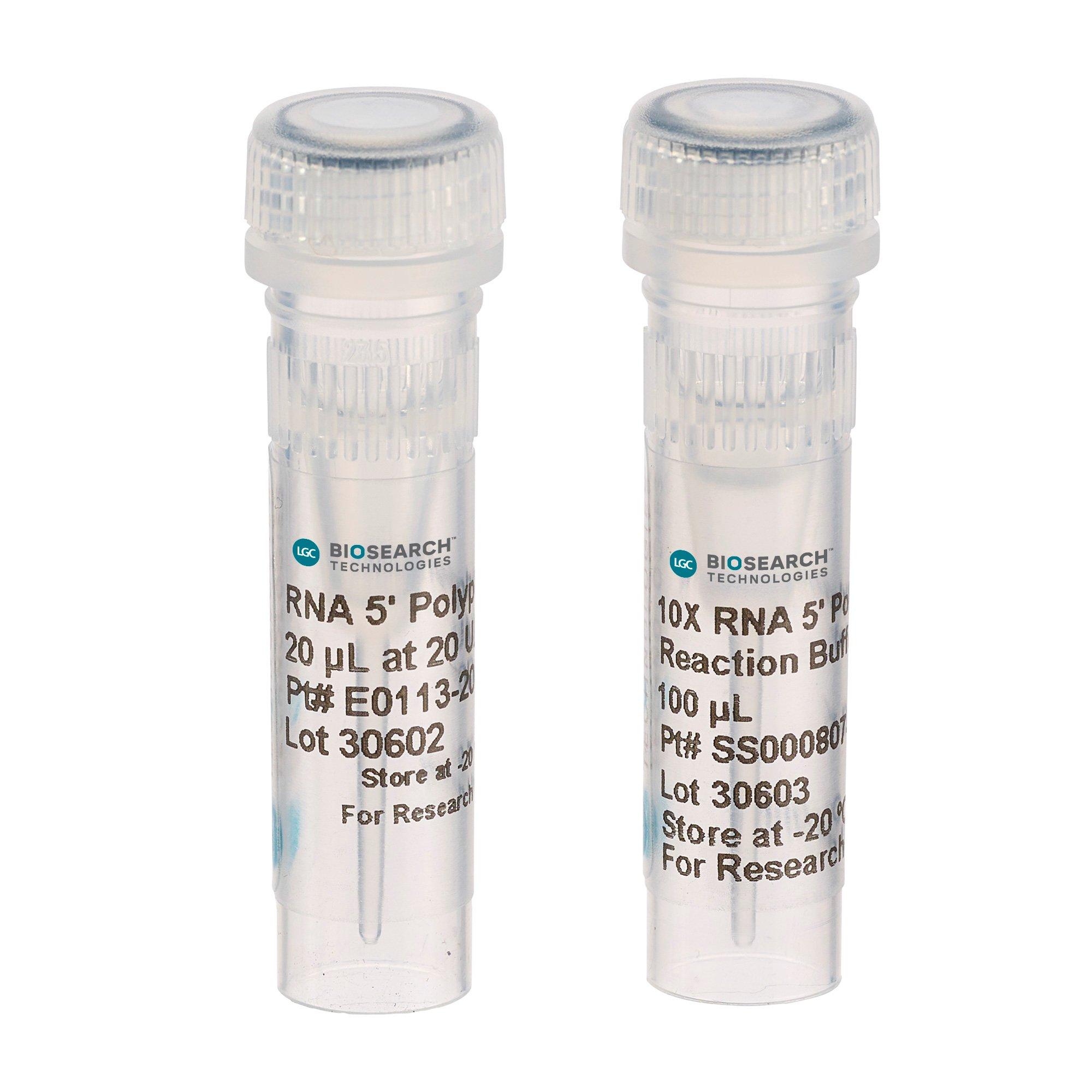 RNA 5' Polyphosphatase