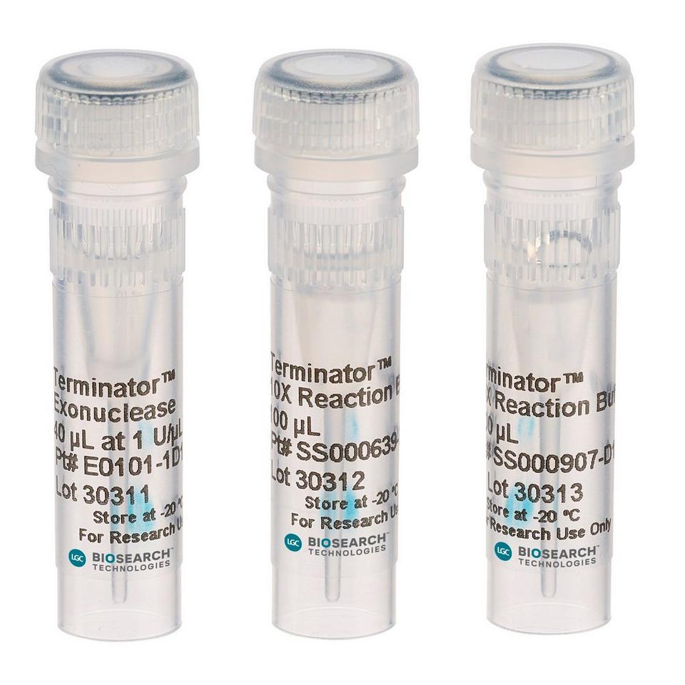 Terminator 5'-Phosphate-Dependent Exonuclease