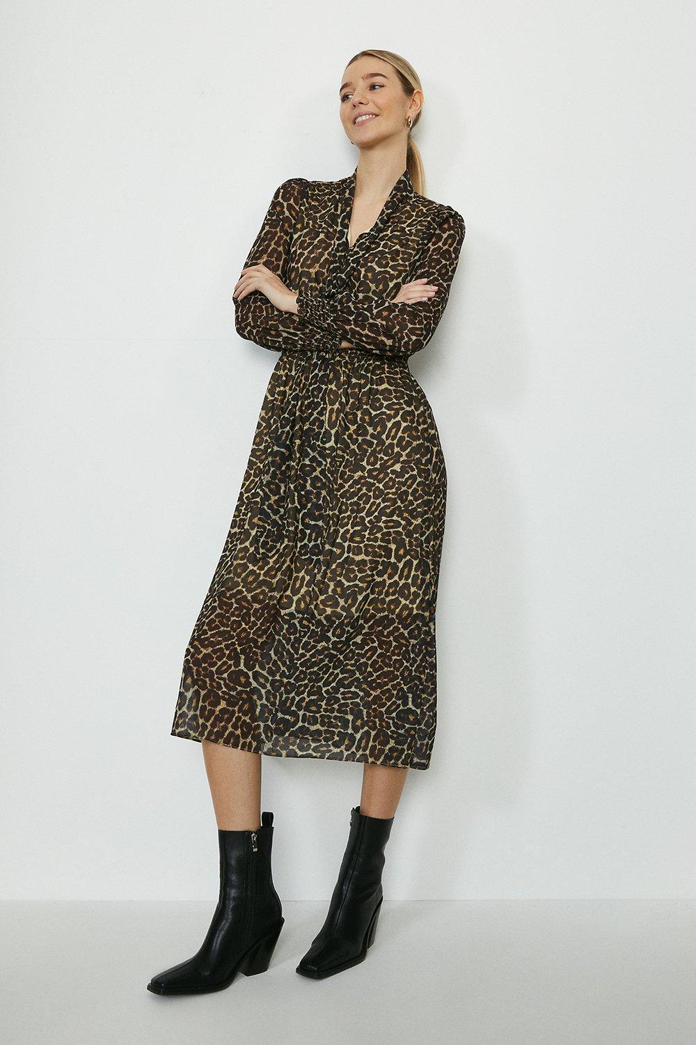 coast martha leopard print dress Cinosural International School