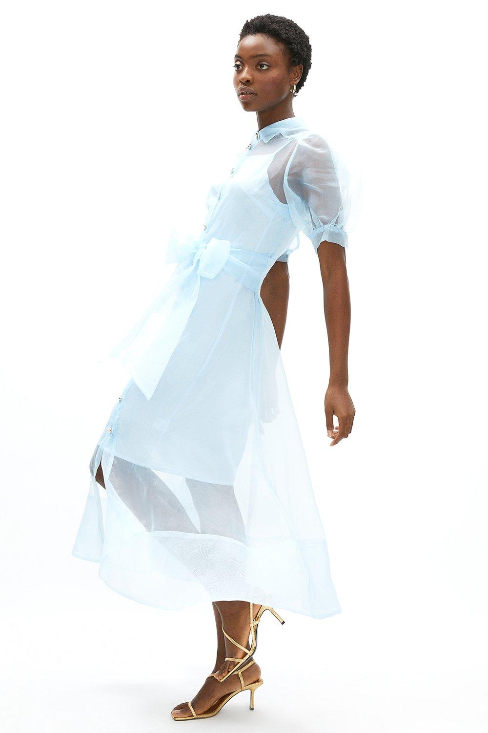 coast organza dress