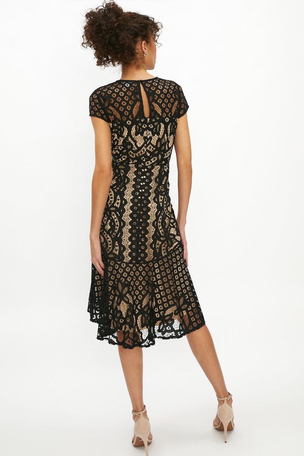 coast lucy lace shift dress