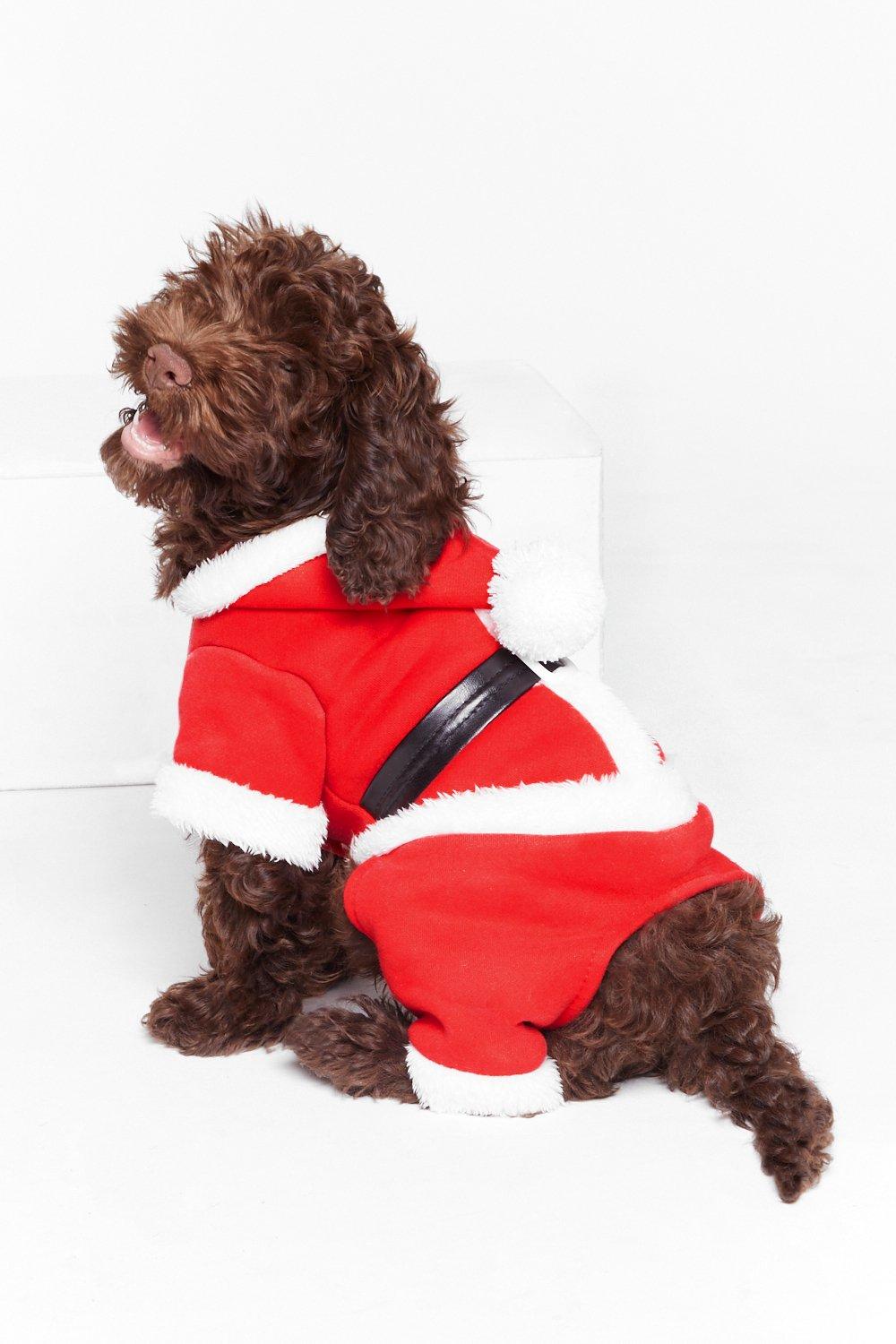 dog santa outfit