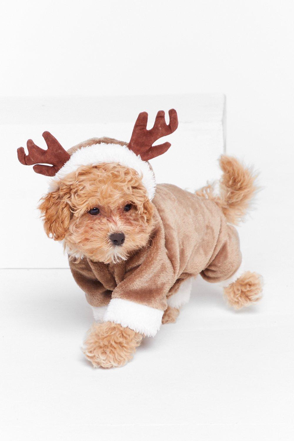 reindeer costumes for dogs