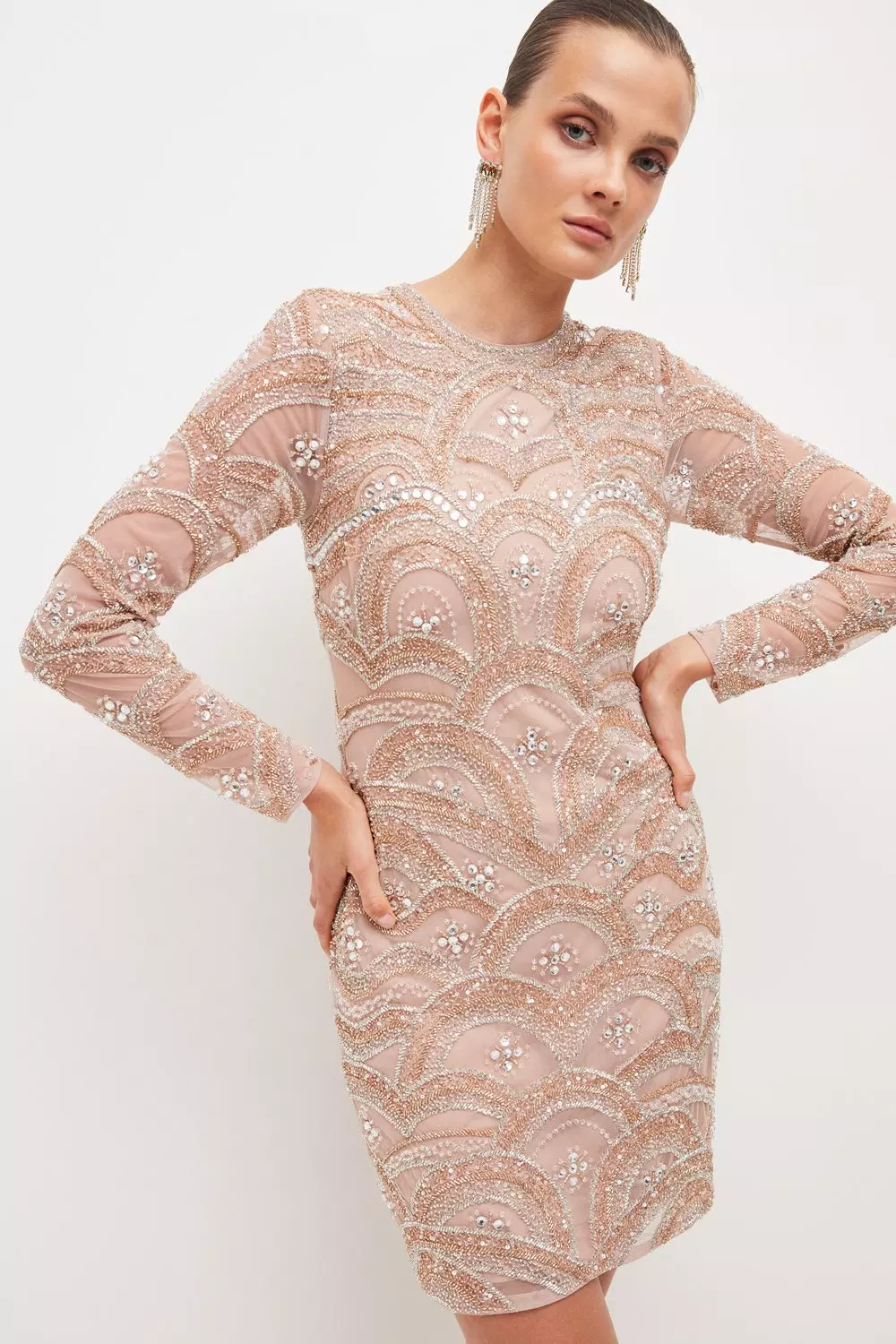 Rose shop embellished dress