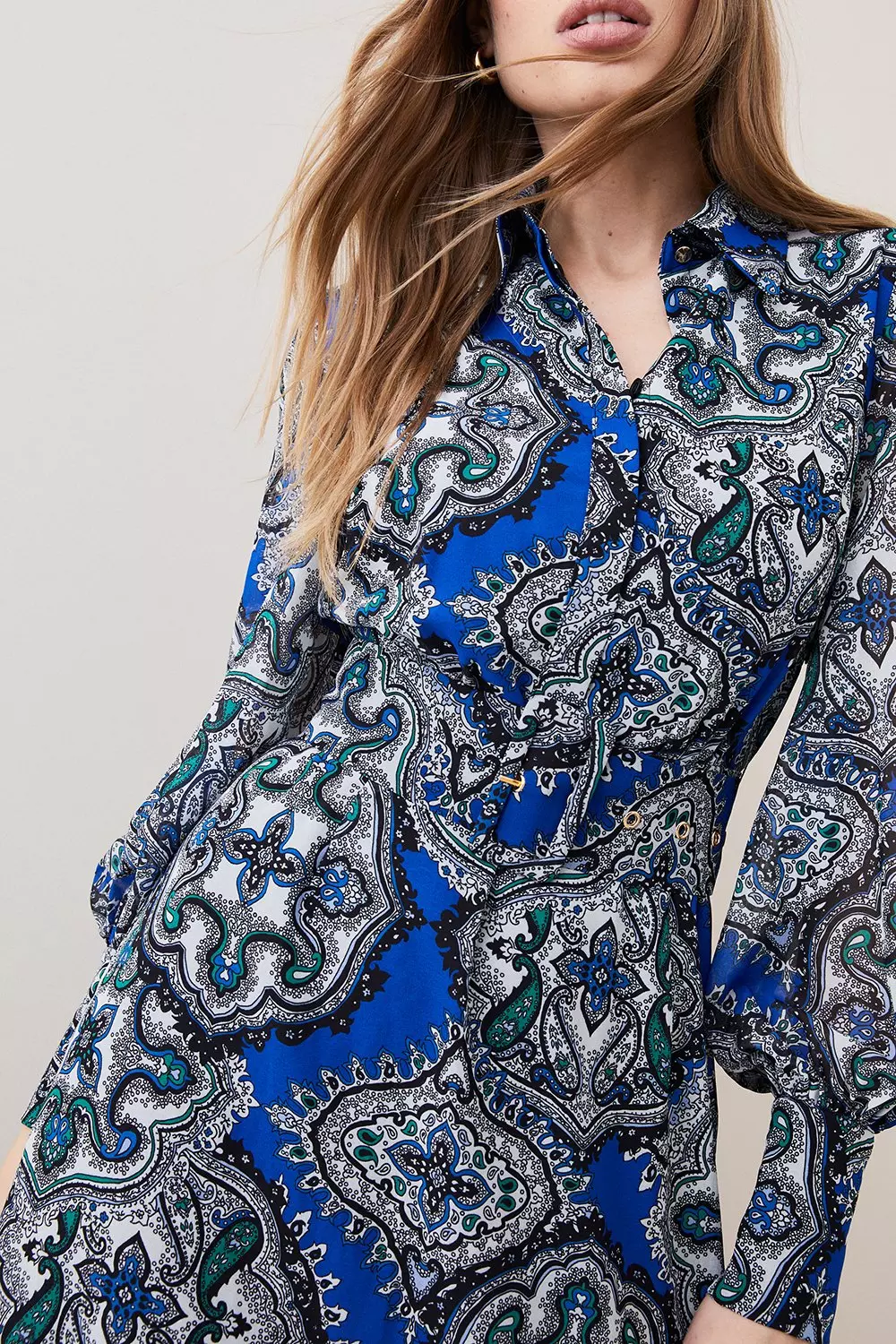 Warehouse blue animal outlet print shirt dress