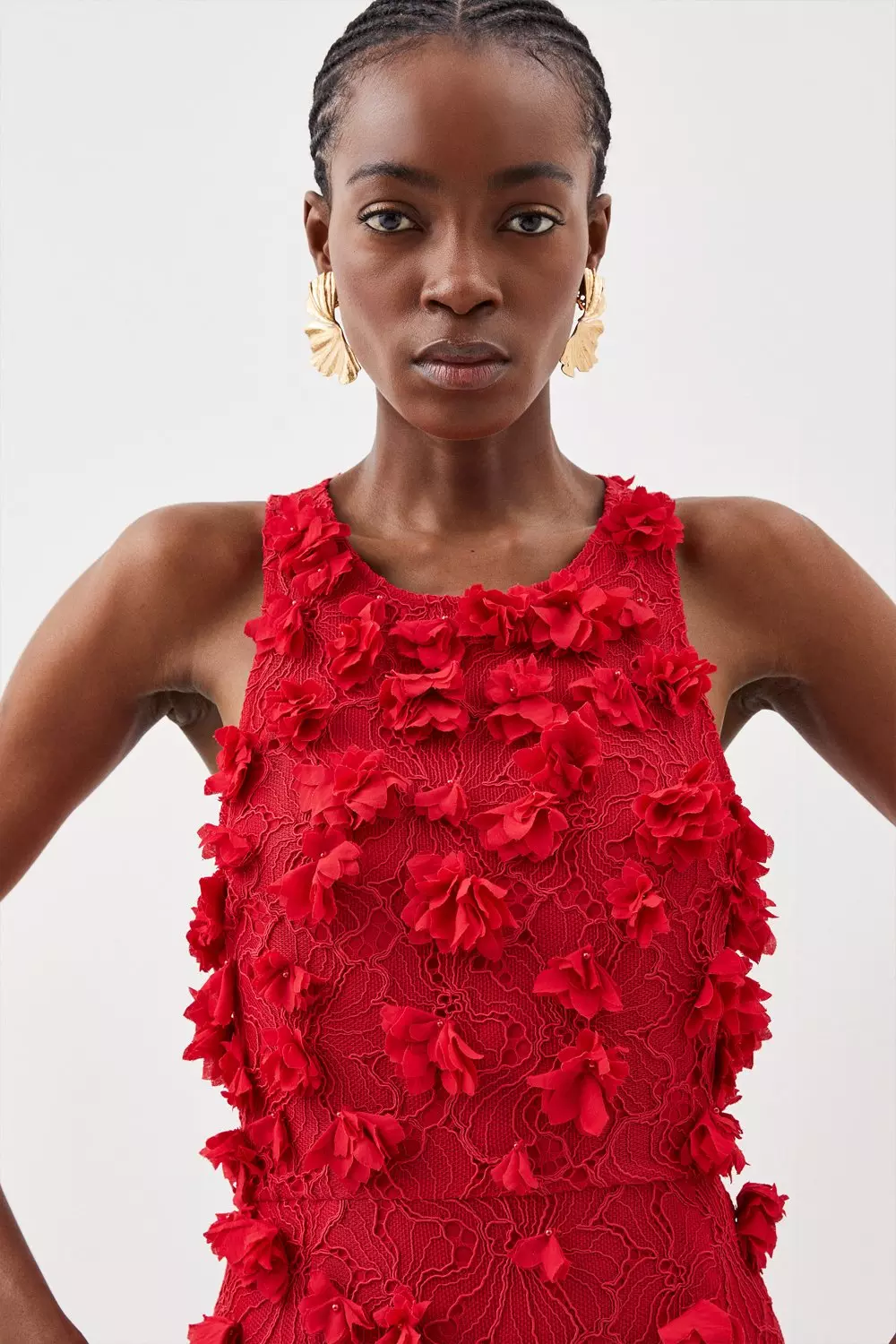 Petite Floral Applique On Lace Woven Midi Dress