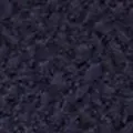 navy color
