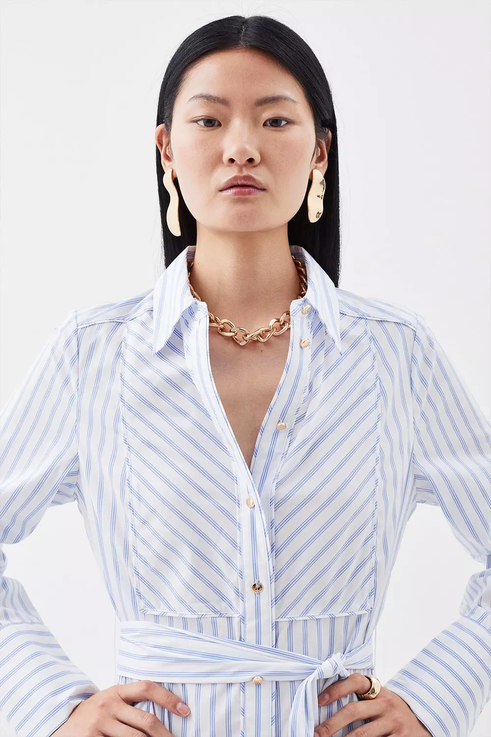 Striped belted hotsell shirt dress