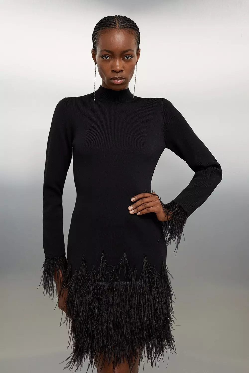 Long sleeve 2024 feather dress