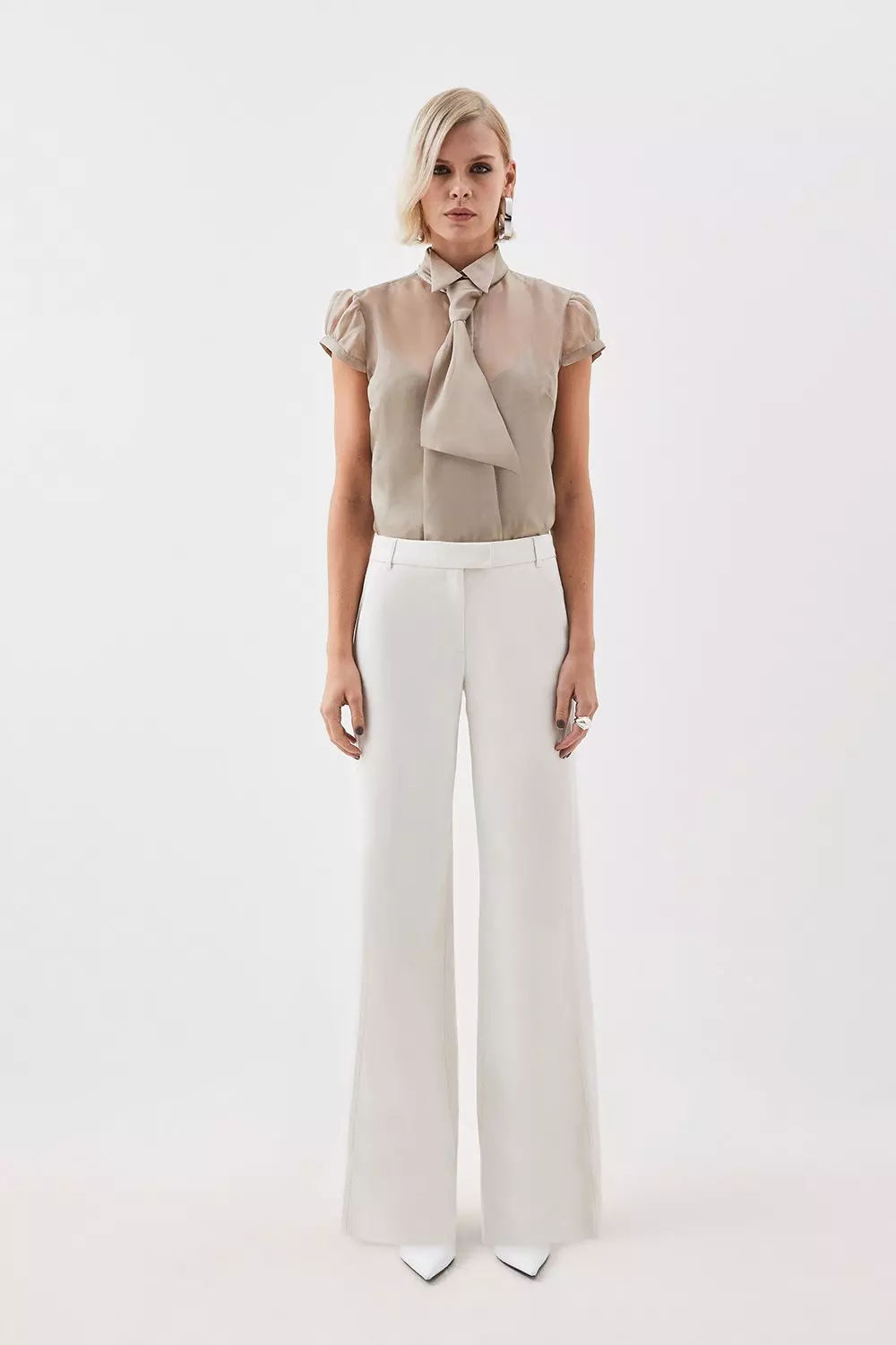 Petite straight hotsell leg dress pants