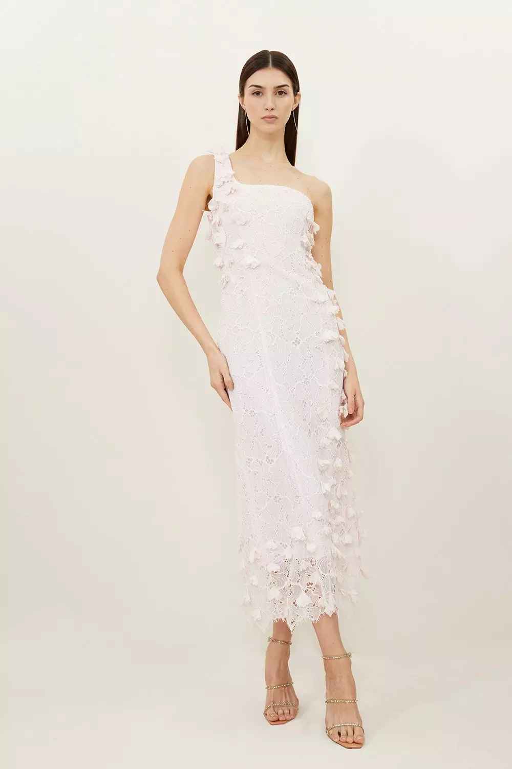 Petite Floral Applique On Lace Woven Midi Dress | Karen Millen