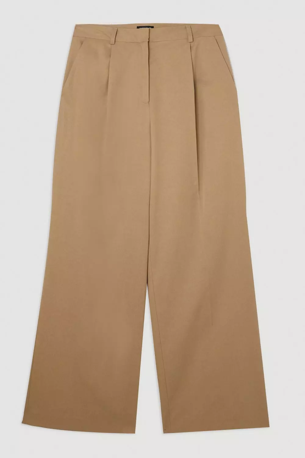 Pleated Wide Leg Dress Pants